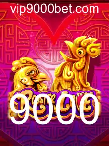RoosterInLove: Uma Jornada de Autorreflexão e Romance no Mundo dos Games